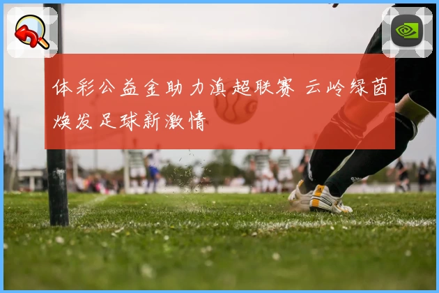 体彩公益金助力滇超联赛 云岭绿茵焕发足球新激情