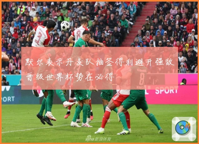 默尔表示丹麦队抽签得利避开强敌晋级世界杯势在必得